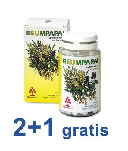 Reumpapai 2 plus 1.jpg
