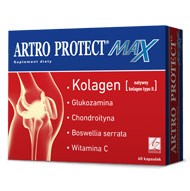 ARTRO PROTECT MAX 60kaps.suplement diety